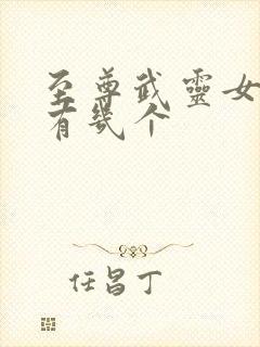 至尊武灵女主角有几个封面