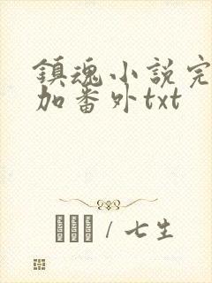 镇魂小说完整版加番外txt