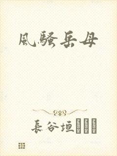 风骚岳母
