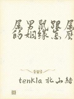 属男鼠跟属女马的姻缘怎么样