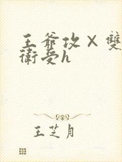 王爷攻×双性暗卫受h封面