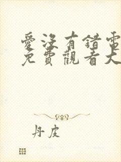 爱没有错电视剧免费观看大全