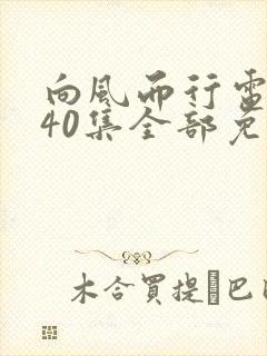 向风而行电视剧40集全部免费观看