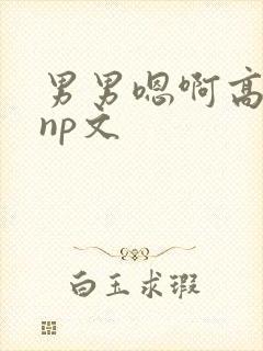 男男嗯啊高h黄np文