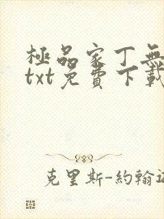 极品家丁无删减txt免费下载