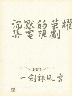 沉默的荣耀有几集电视剧