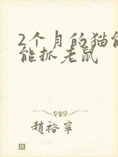 2个月的猫能不能抓老鼠封面