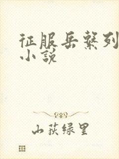 征服岳系列短篇小说封面