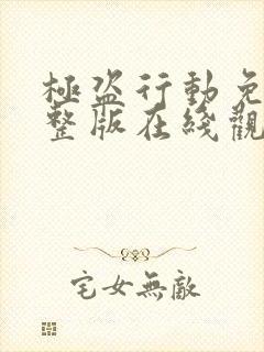 极盗行动免费完整版在线观看中文版