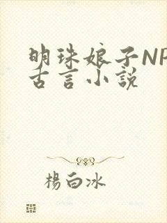 明珠娘子NPC古言小说封面