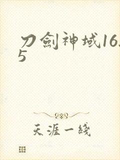刀剑神域16.5