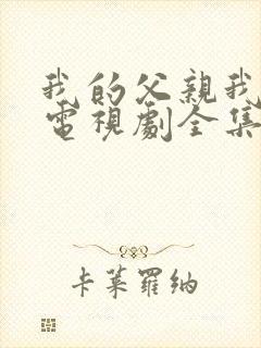 我的父亲我的兵电视剧全集免费观看