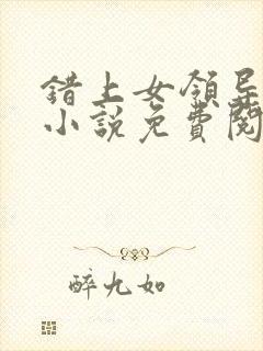 错上女领导官场小说免费阅读