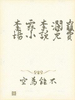 李霖李澜巅峰官场小说免费阅读