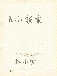 h小说家