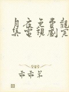 月夜免费观看全集电视剧完整版