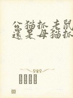 公猫抓老鼠厉害还是母猫抓老鼠厉害