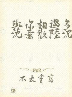 与你相遇多欢喜沈意欢陆沉舟小说阅读