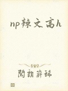 np辣文高h