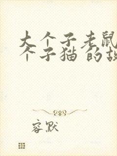 大个子老鼠和小个子猫 的故事