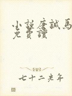 小说唐诚马玉婷免费读封面