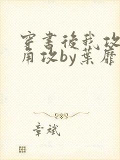 穿书后我攻了主角攻by叶靡川