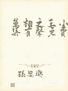 万相之王小说全集有声免费听