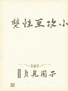 双性互攻小说h封面