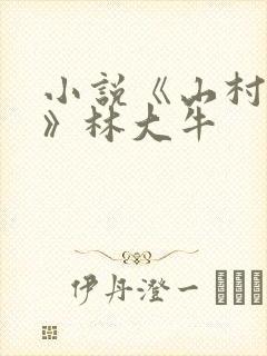 小说《山村情事》林大牛封面