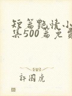 短篇艳情小说合集500篇免费封面