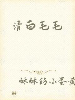 清白毛毛