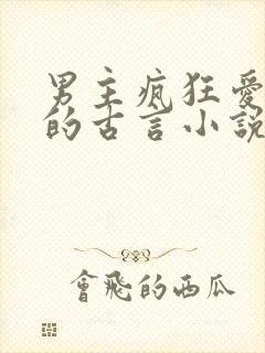 男主疯狂爱女主的古言小说