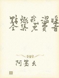 点燃我温暖你在全集免费看电视剧封面