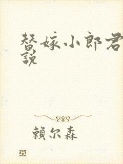 替嫁小郎君 小说封面