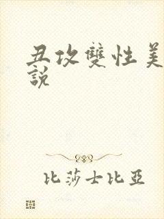 丑攻双性美人小说