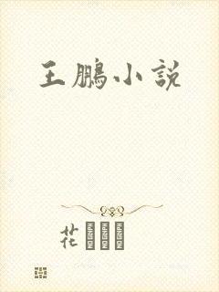 王鹏小说