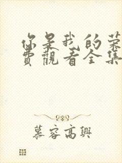 你是我的荣耀免费观看全集在线