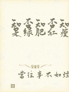 知否知否知否应是绿肥红瘦高清