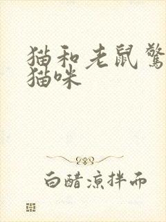 猫和老鼠惊讶的猫咪