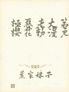 极恶老大第一季樱花动漫免费看