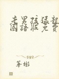 老男孩猛龙过江国语版免费观看