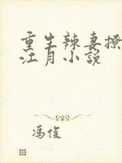 重生辣妻撩夫忙江月小说