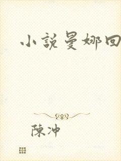 小说曼娜回忆录封面