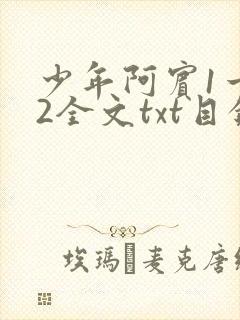 少年阿宾1一72全文txt目录封面