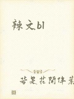 辣文bl