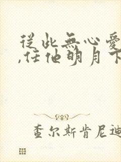 从此无心爱良夜,任他明月下西楼是什么意思封面