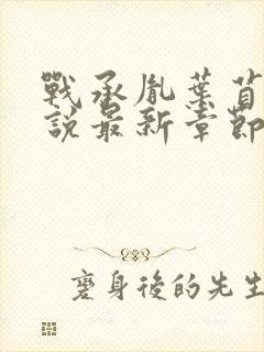 战承胤叶苜苜小说最新章节封面