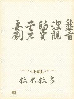 妻子的涅盘2短剧免费观看全集高清封面