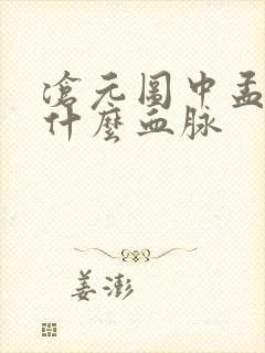 沧元图中孟川是什么血脉