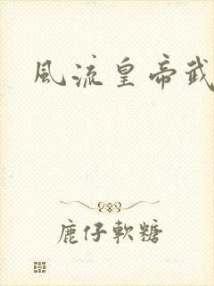 风流皇帝武则天封面